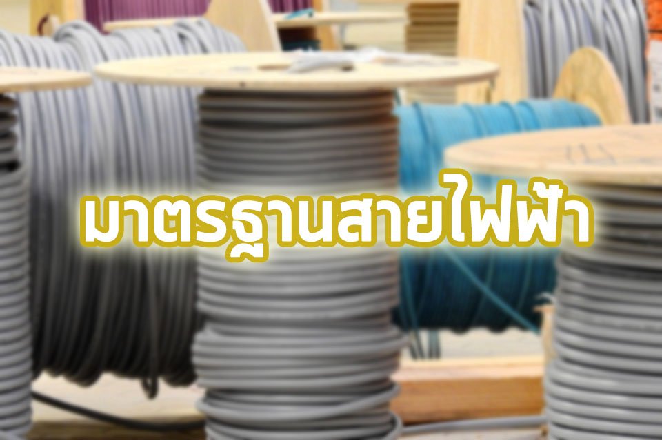 มาตรฐานสายไฟฟ้า